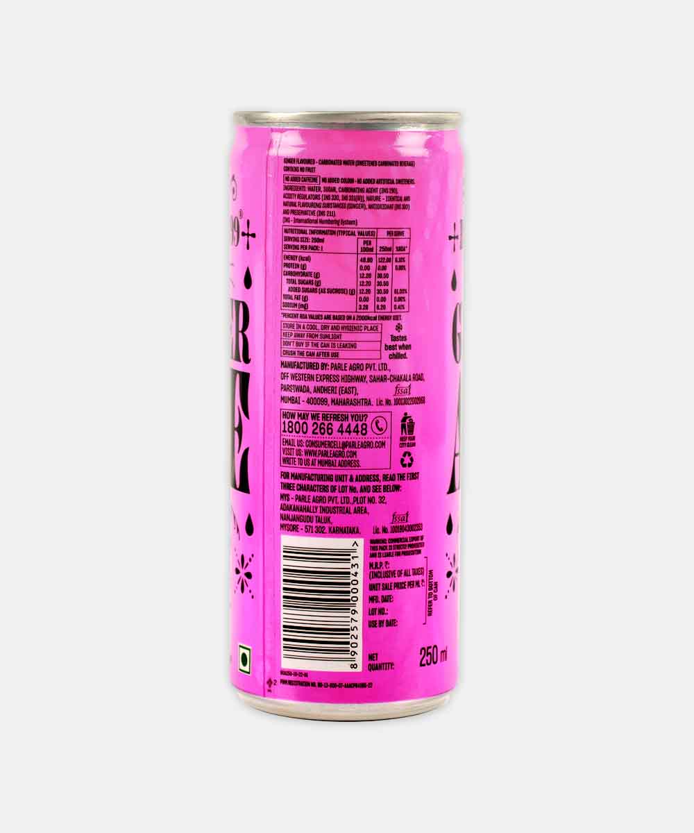 Bombay 99 Ginger Ale 250 Ml - Image 2
