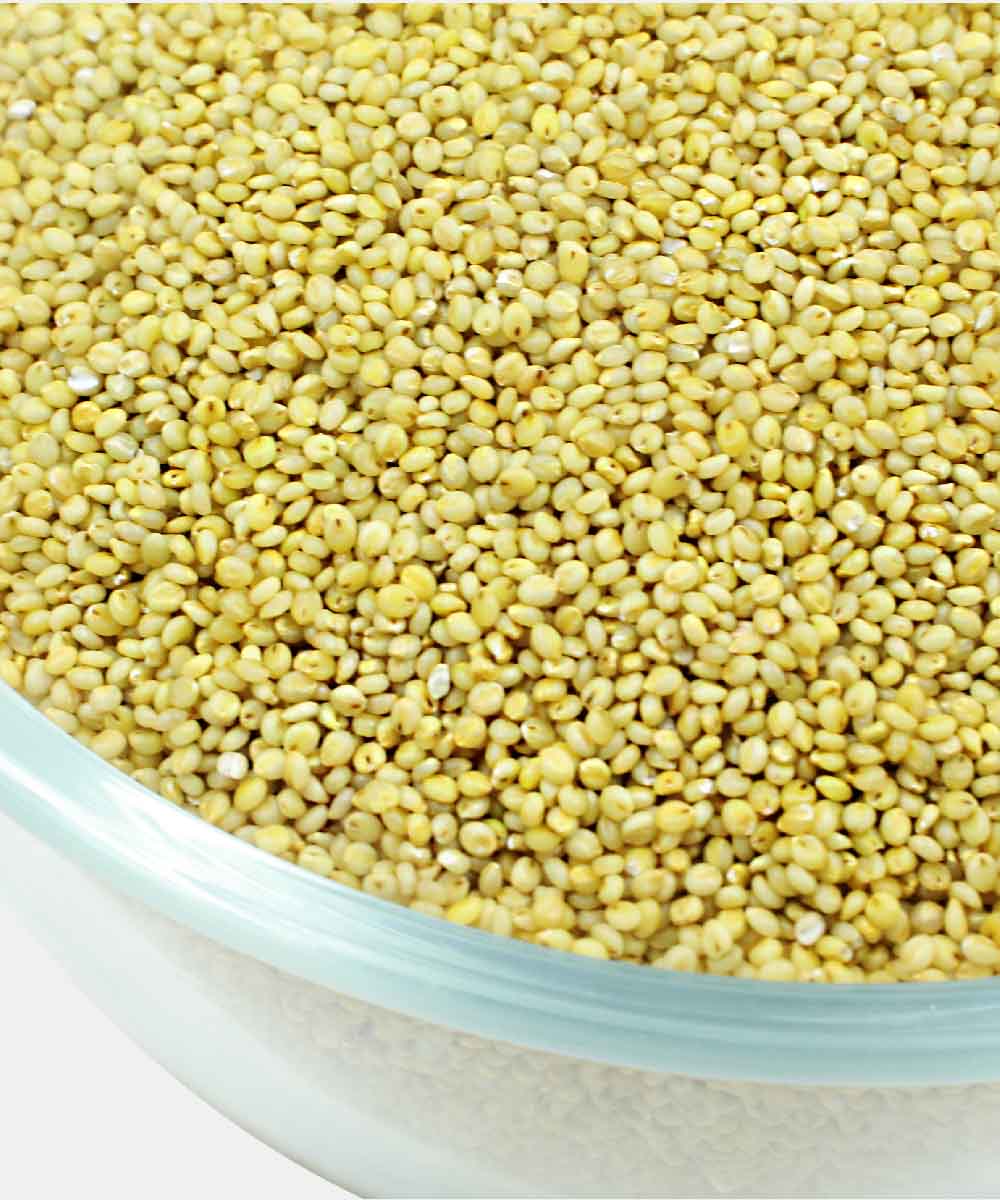 Brown Top Millet 500 Gm - Image 3