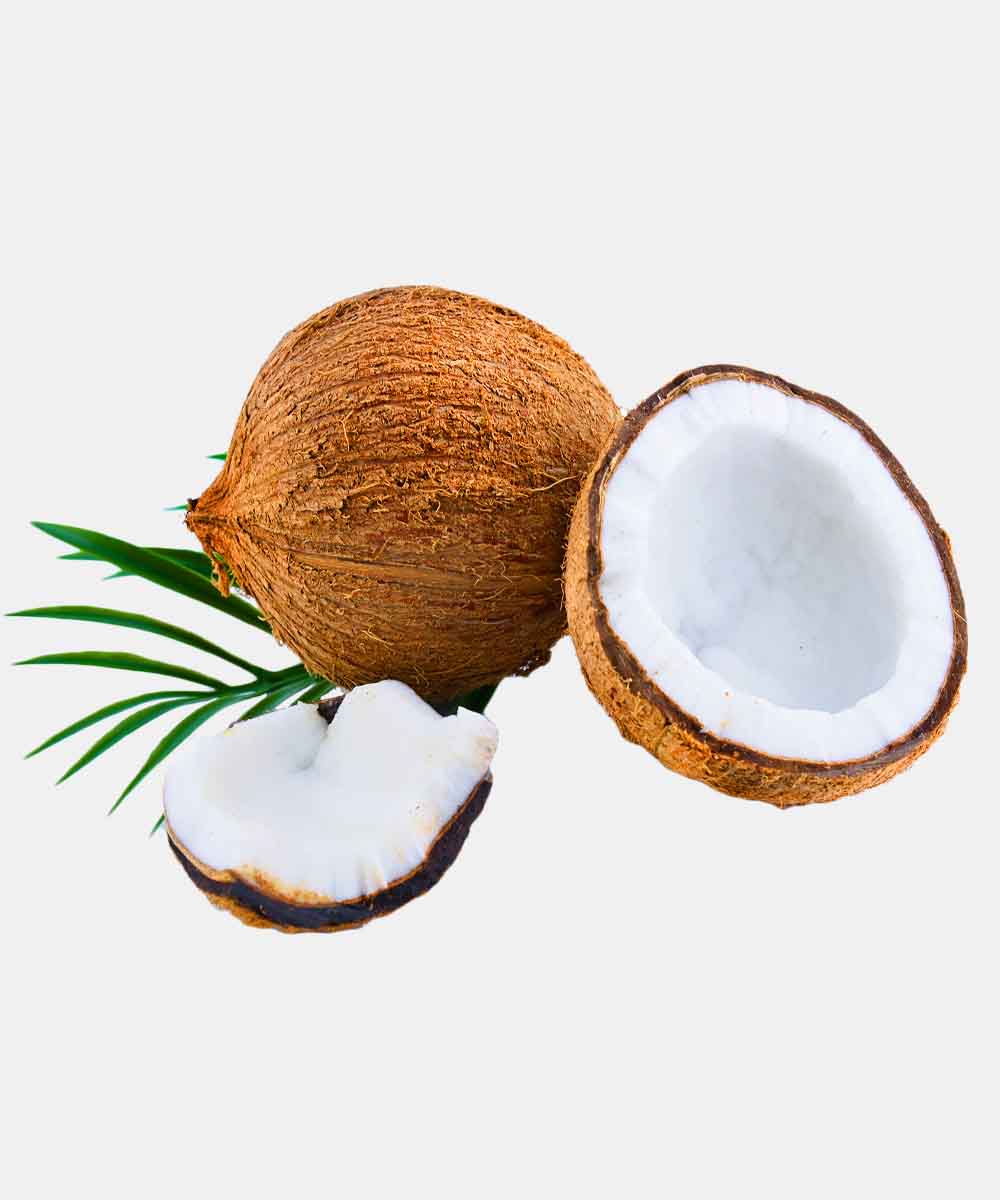 Coconut/Nariyal 1 Pc - Image 2