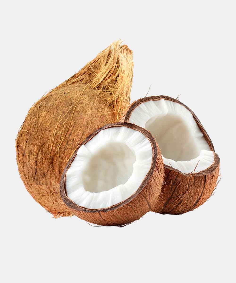 Coconut/Nariyal 1 Pc - Image 3