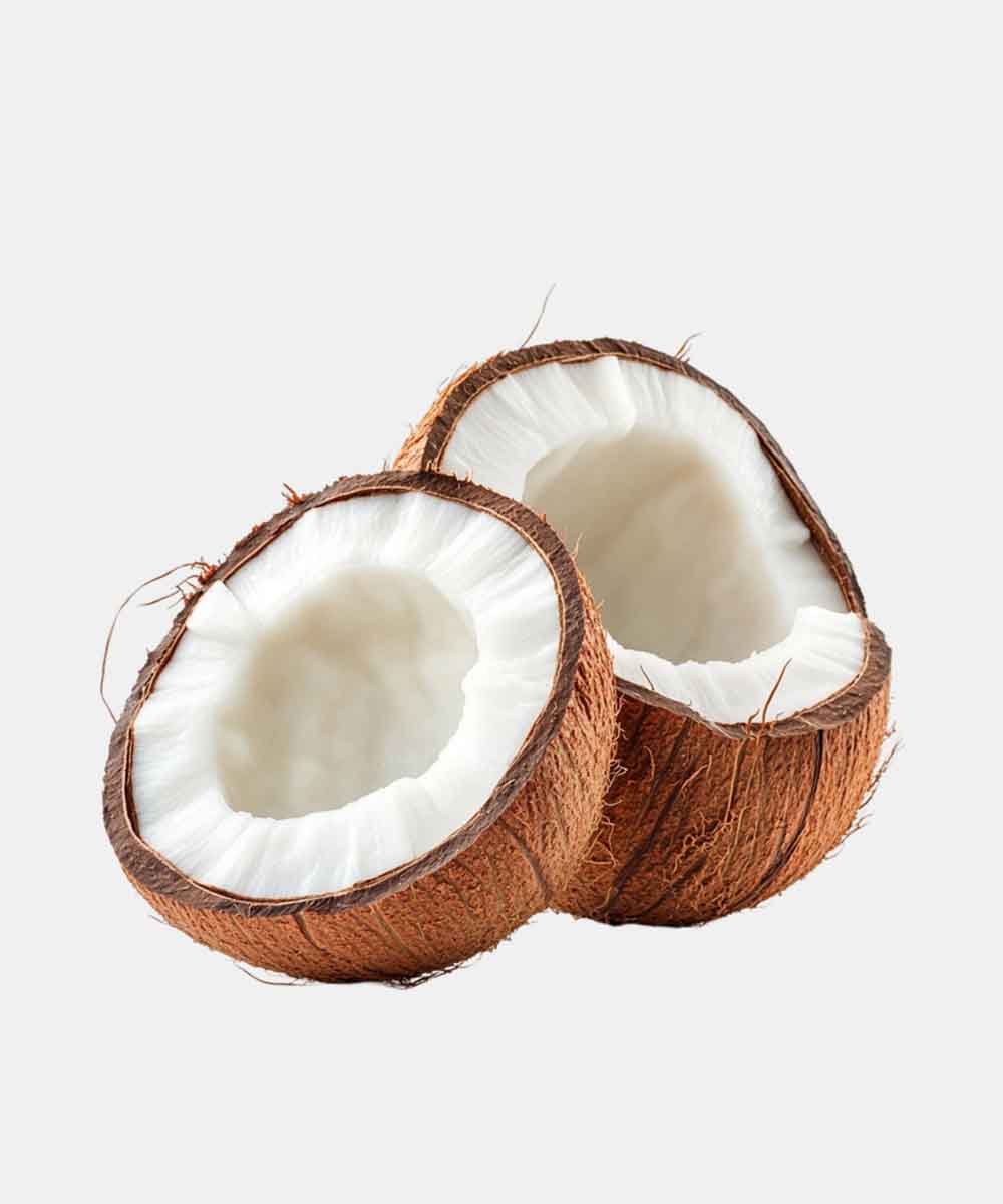 Coconut/Nariyal 1 Pc - Image 4