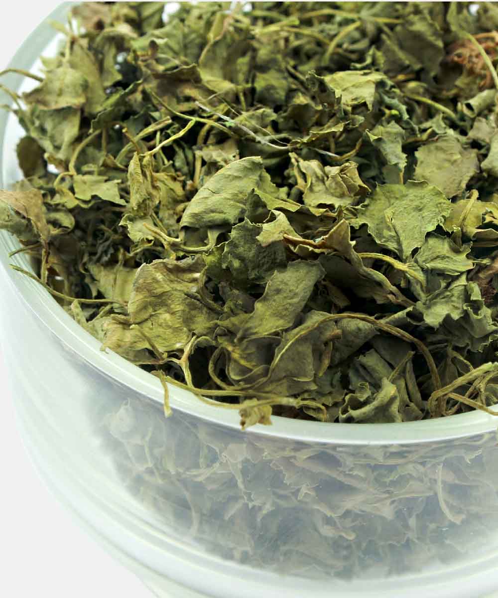 Dried Fenugreek Leaves/Kasuri Methi 40 Gm - Image 3