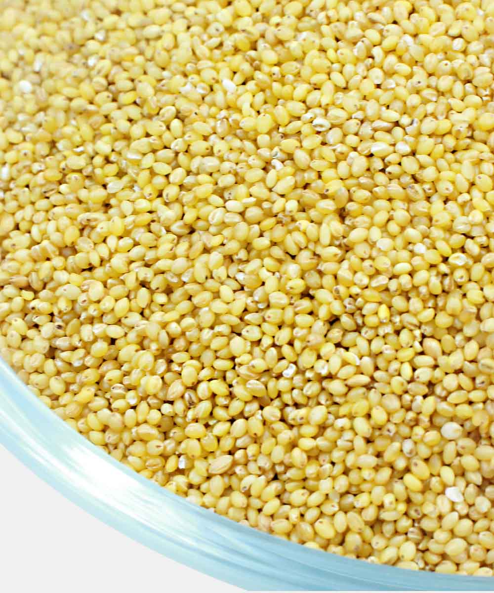 Foxtail Millet 500 Gm - Image 3