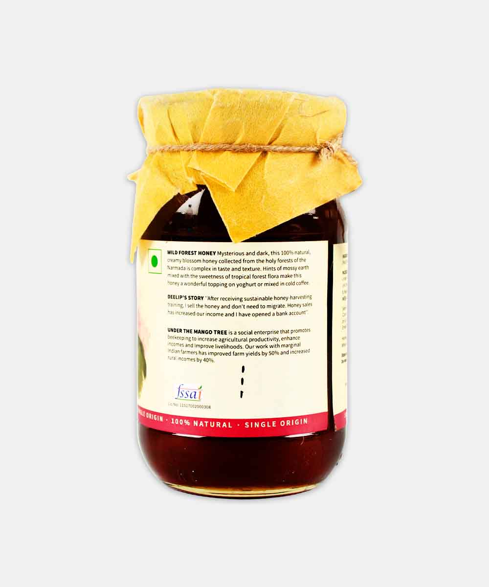 Mango Tree Wild Forest Honey 500 Gm - Image 2
