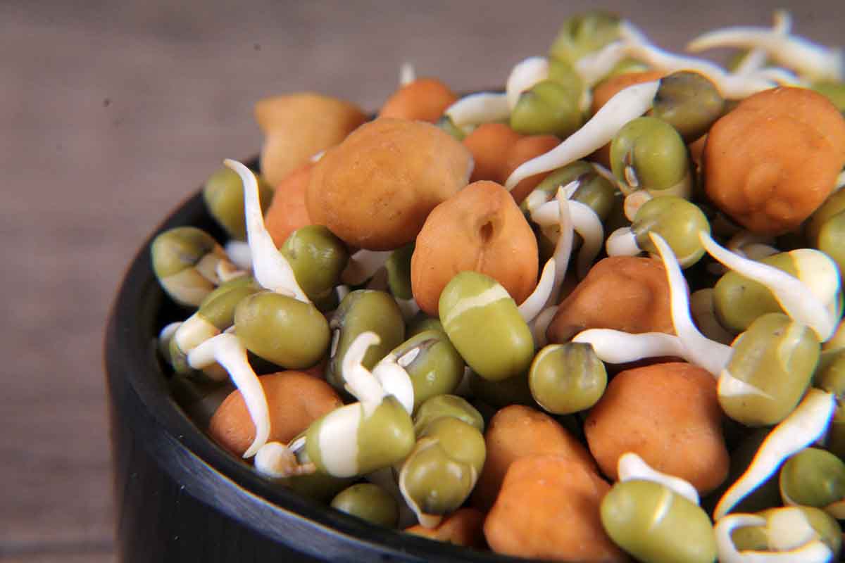 Moong Chana Sprouts 100 Gm - Image 2