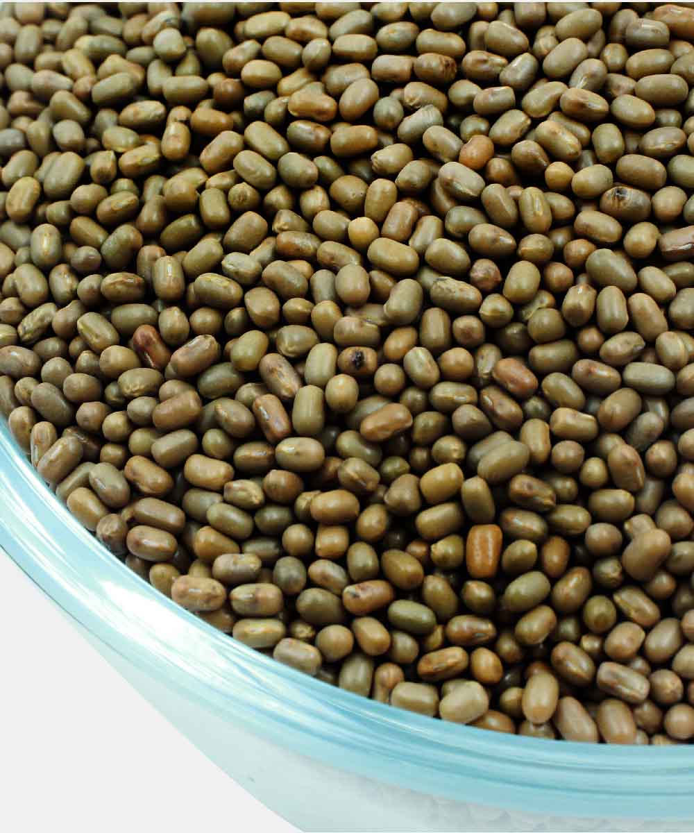 Whole Moth Beans/Matki 500 Gm - Image 3